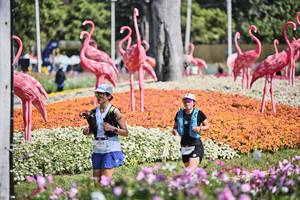 BIB: 
                            <button type="button" onclick="openModal(27793641)" class="btn btn-primary btn-sm float-right btn-popup" data-toggle="modal" data-target=".modal-high-quality">
                        <i class="fas fa-shopping-cart"></i> Add to Cart
                    </button>
                                            <button type="button" onclick="isThisMe(27793641, true)" class="btn btn-success btn-sm float-right btn-popup btn-isme hidden" data-toggle="tooltip" data-placement="bottom" title="นี่คือรูปของคุณใช่ไหม คลิกที่นี่เพื่อเอาเข้าอัลบั้ม">
                        <i class="fas fa-plus"></i> Add to album
                    </button>
                    <button type="button" onclick="isThisMe(27793641, false)" class="btn btn-warning btn-sm float-right btn-popup btn-isnotme hidden">
                        <i class="fas fa-ban"></i> Remove from album
                    </button>